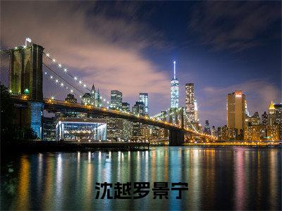 沈越罗景宁小说（罗景宁沈越）全文免费阅读无弹窗大结局_罗景宁沈越小说免费阅读无弹窗最新章节列表