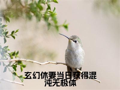 玄幻休妻当日获得混沌无极体（林泓）全文免费阅读无弹窗大结局_玄幻休妻当日获得混沌无极体免费阅读无弹窗最新章节列表