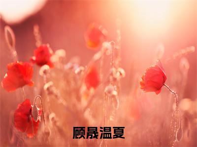 顾晟温夏全集免费阅读无弹窗_顾晟温夏完结小说榜单阅读（顾晟温夏小说）