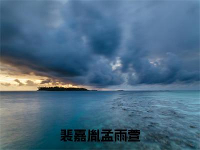 裴嘉胤孟雨萱（孟雨萱裴嘉胤）笔趣阁免费小说_裴嘉胤孟雨萱笔趣阁全文阅读