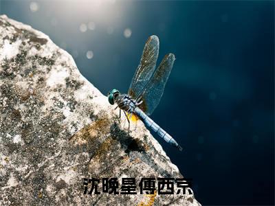 沈晚星傅西京（沈晚星傅西京）全文免费阅读-（沈晚星傅西京小说）沈晚星傅西京最新章节列表