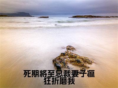 盛明月小说免费全本-死期将至总裁妻子疯狂折磨我小说（盛明月完整版）免费阅读