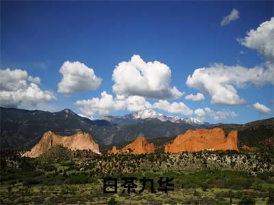 白茶九华（白茶九华）多人推荐-白茶九华白茶九华好看的小说完整版全文