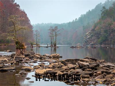 许心沐靳屿辰（靳屿辰许心沐）全文免费阅读无弹窗_靳屿辰许心沐小说_笔趣阁