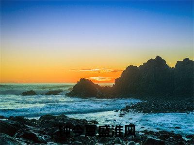 钟今夏盛淮风（钟今夏盛淮风）小说全文免费阅读无弹窗大结局_（钟今夏盛淮风）钟今夏盛淮风最新章节列表