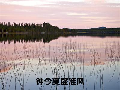 钟今夏盛淮风（钟今夏盛淮风）免费小说-钟今夏盛淮风（钟今夏盛淮风）最新章节完整版阅读