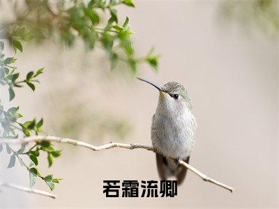 若霜流卿小说_若霜流卿全文阅读若霜流卿小说免费阅读笔趣阁