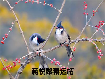 蒋悦黎秦远柘小说（蒋悦黎秦远柘）全文免费阅读_蒋悦黎秦远柘小说蒋悦黎秦远柘小说最新章节列表笔趣阁