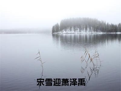 宋雪迎萧泽禹小说宋雪迎萧泽禹完整版大结局-宋雪迎萧泽禹小说完结版在线阅读