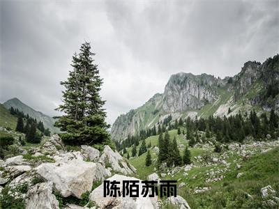 苏雨陈陌（陈陌苏雨）全文免费阅读无弹窗大结局_（陈陌苏雨小说免费阅读）_笔趣阁