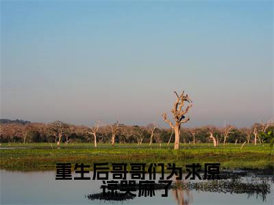 重生后哥哥们为求原谅哭麻了（司念顾乱）热门小说最新章节阅读-（重生后哥哥们为求原谅哭麻了）司念顾乱全文免费阅读