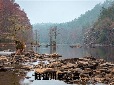 陆建川顾云喜（顾云喜陆建川）小说免费阅读无弹窗大结局_（顾云喜陆建川阅读无弹窗）最新章节列表