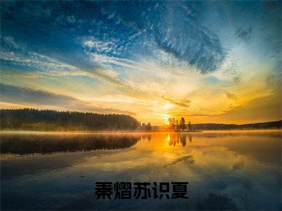 秦熠苏识夏免费阅读无弹窗大结局-苏识夏秦熠（最新全章节大结局）全文阅读