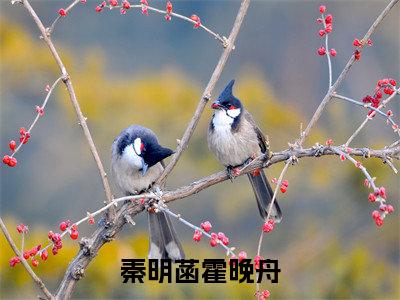 秦明菡霍晚舟秦明菡霍晚舟小说免费阅读-秦明菡霍晚舟抖音新书热荐