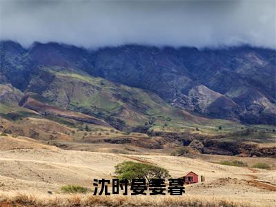 姜暮沈时晏（沈时晏姜暮）热门小说在哪免费看-姜暮沈时晏小说沈时晏姜暮全章节阅读