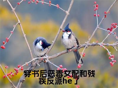 穿书后恶毒女配和残疾反派he了（孟若曦时宴今）全文小说-穿书后恶毒女配和残疾反派he了小说最新章节免费阅读（免费）+（全文）