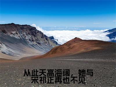 主角为顾安宁宋祁正的小说-从此天高海阔，她与宋祁正再也不见（顾安宁宋祁正）全文最新完整版阅读