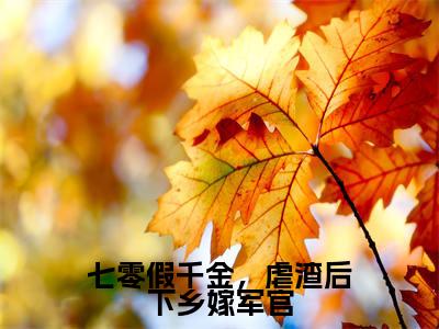 七零假千金，虐渣后下乡嫁军官（苏婉清顾浩轩）全文免费阅读无弹窗_七零假千金，虐渣后下乡嫁军官最新小说_笔趣阁（苏婉清顾浩轩）