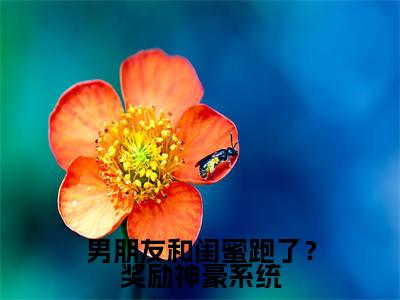 小说男朋友和闺蜜跑了？奖励神豪系统全文免费阅读苏冉冉小说全文在线赏析_笔趣阁