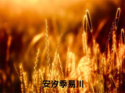 安汐季易川（安汐季易川）全文免费阅读无弹窗无删减_小说（安汐季易川）安汐季易川最新章节列表笔趣阁