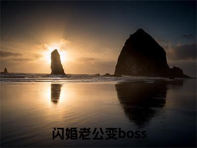 闪婚老公变boss（姜沫墨景天）全文免费阅读无弹窗_闪婚老公变boss:姜沫墨景天最新小说_笔趣阁