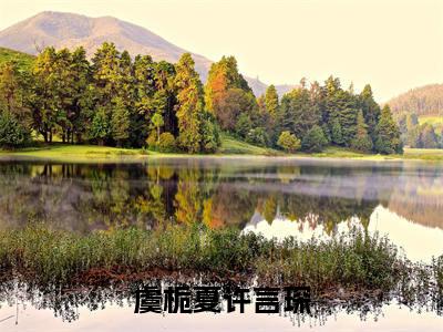 许言琛虞栀夏（虞栀夏许言琛）全文免费阅读无弹窗_许言琛虞栀夏最新小说_笔趣阁