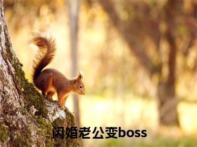 闪婚老公变boss（墨景天姜沫）全文免费阅读无弹窗大结局_（墨景天姜沫无弹窗）_笔趣阁