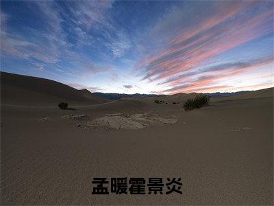 小说（孟暖霍景炎）_霍景炎孟暖全文阅读_孟暖霍景炎免费阅读大结局