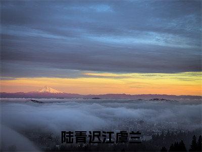 陆青迟江虞兰小说全文在线赏析江虞兰陆青迟小说免费阅读全文大结局