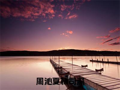 周沁夏林司深（周沁夏林司深）全文免费阅读无弹窗大结局_（周沁夏林司深免费阅读全文大结局）最新章节列表