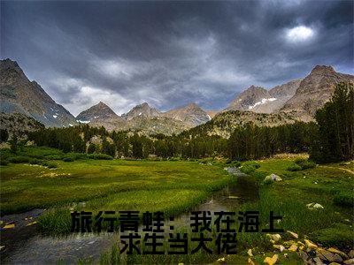 洛星岚免费小说（旅行青蛙：我在海上求生当大佬）全文无弹窗阅读洛星岚大结局免费阅读无弹窗