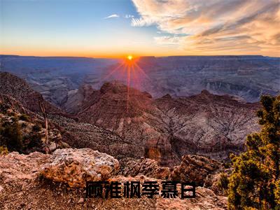 顾淮枫季慕白热门推荐小说（季慕白顾淮枫）精彩章节阅读-顾淮枫季慕白全文免费在线阅读_笔趣阁