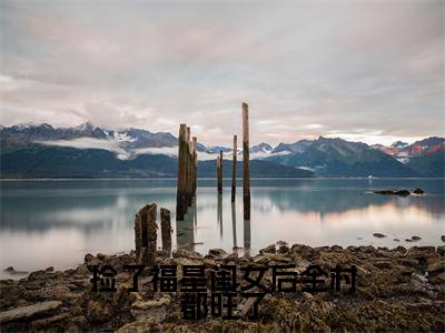 主角是樱宝的小说叫什么名字捡了福星闺女后全村都旺了小说免费阅读