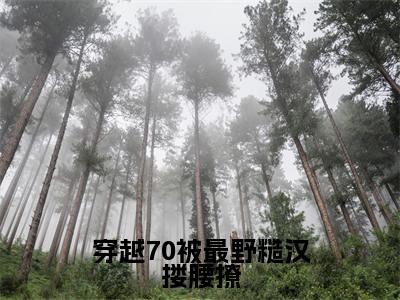 温暖陆霆之小说（穿越70被最野糙汉搂腰撩）全文免费阅读无弹窗大结局_穿越70被最野糙汉搂腰撩小说最新章节_笔趣阁（温暖陆霆之）