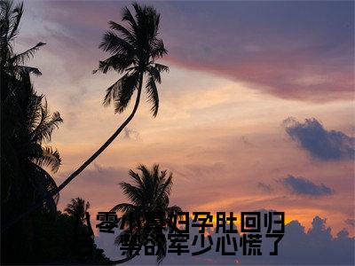 八零小寡妇孕肚回归后，禁欲军少心慌了（顾远舟沈明月）笔趣阁免费小说_八零小寡妇孕肚回归后，禁欲军少心慌了笔趣阁全文阅读