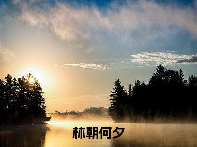 林朝何夕小说（何夕林朝）全文免费阅读无弹窗大结局_（何夕林朝免费阅读）最新章节列表_笔趣阁（何夕林朝）