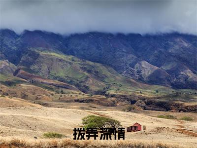 拨弄深情全文免费阅读（向烔顾京回免费阅读无弹窗）拨弄深情最新章节列表_笔趣阁