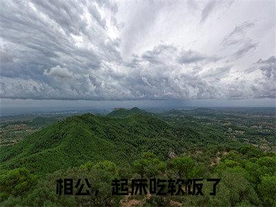 相公，起床吃软饭了（景川沈青然全章节完整版）免费阅读-相公，起床吃软饭了全文无删减阅读