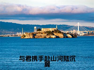 （卫绍歌陆沉翼）全文免费阅读无弹窗大结局与君携手赴山河陆沉翼免费阅读最新章节精彩免费阅读_笔趣阁