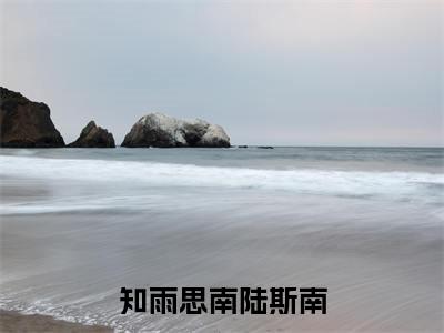 知雨思南陆斯南全文小说（沈知雨陆斯南）-完整版小说沈知雨陆斯南（知雨思南陆斯南）热文免费阅读