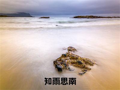 知雨思南（沈知雨陆斯南）小说多人阅读-小说沈知雨陆斯南在哪里看免费