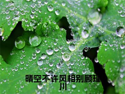 晴空不许风相别顾瑾川（沈潼顾瑾川全章节完整版）免费阅读_（晴空不许风相别顾瑾川）沈潼顾瑾川全文无删减免费阅读