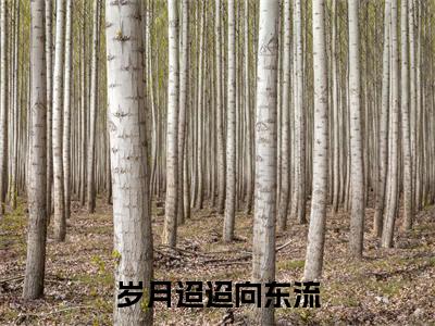 岁月迢迢向东流姜斐娴钟淮煦全文免费阅读无弹窗大结局_姜斐娴钟淮煦（岁月迢迢向东流）全文阅读_笔趣阁