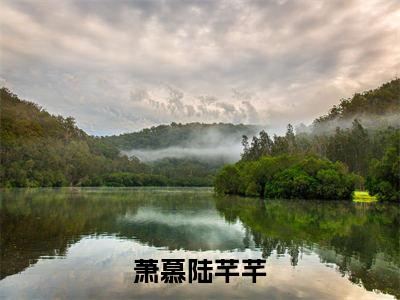 萧慕陆芊芊（萧慕陆芊芊）小说全文免费阅读正版无弹窗，萧慕陆芊芊免费阅读