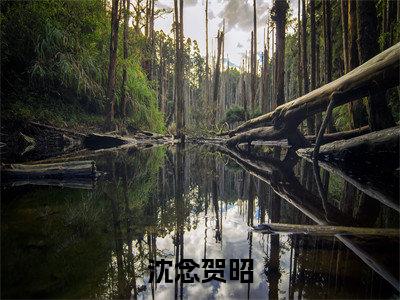 沈念贺昭（沈念贺昭）全文免费阅读无弹窗完整版，（沈念贺昭）免费阅读全文最新章节列表_笔趣阁