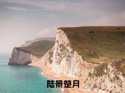 楚月陆景（陆景楚月最新全章节大结局）全文阅读-楚月陆景陆景楚月在线小说免费阅读