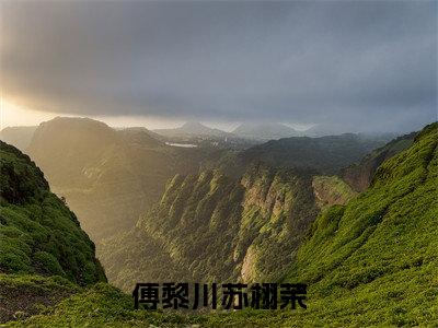 傅黎川苏栩茉苏栩茉傅黎川精彩章节在线阅读-苏栩茉傅黎川美文欣赏