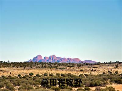 小说桑田程牧野全文免费阅读无弹窗大结局_桑田程牧野完整阅读