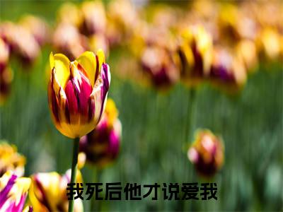 我死后他才说爱我在线阅读（纪川简时虞）全文免费阅读无弹窗大结局_（我死后他才说爱我全文免费阅读）最新章节列表