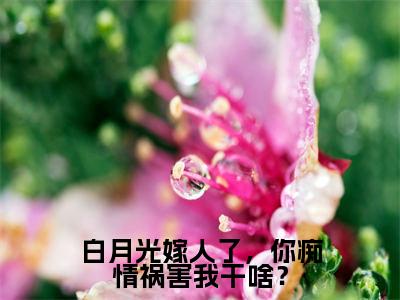 林萍萍孙邵平全文免费阅读大结局-白月光嫁人了，你痴情祸害我干啥？最新章节列表-笔趣阁